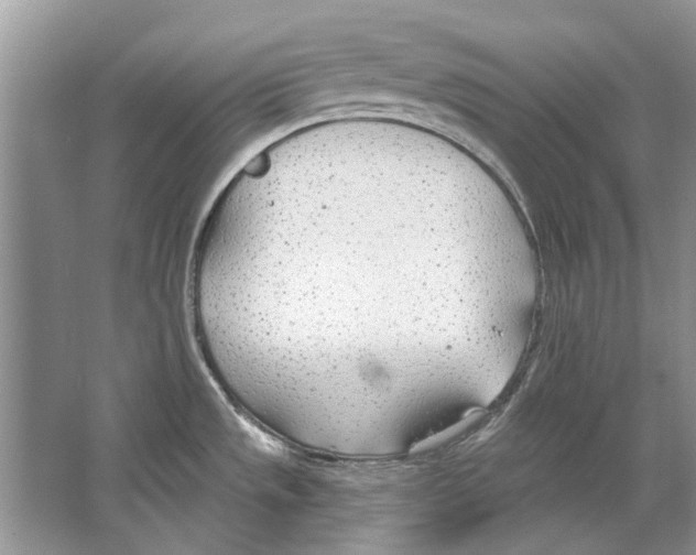 X0000063451533200602171844