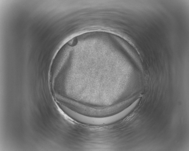 X0000063451535200602171844