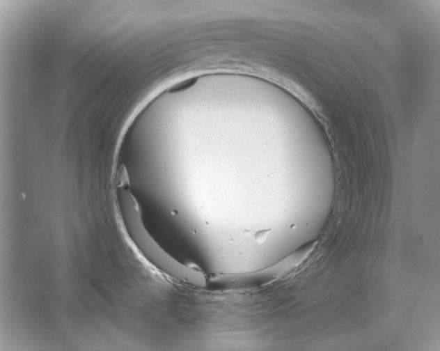 X0000063451536200602171844