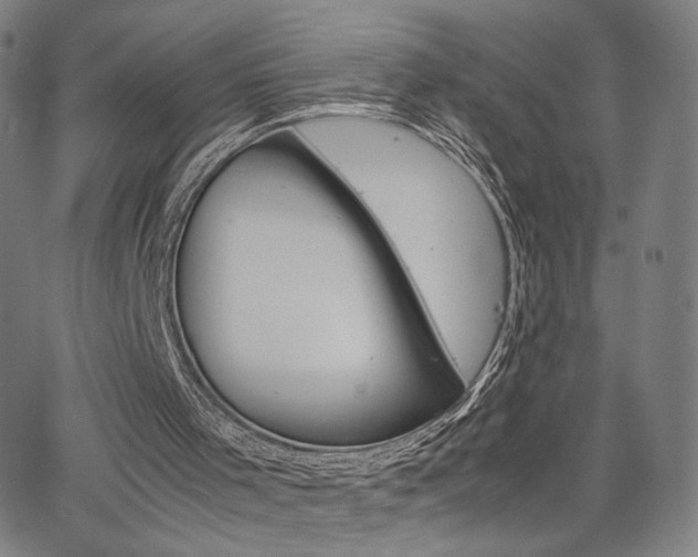 X0000063460001200601200942