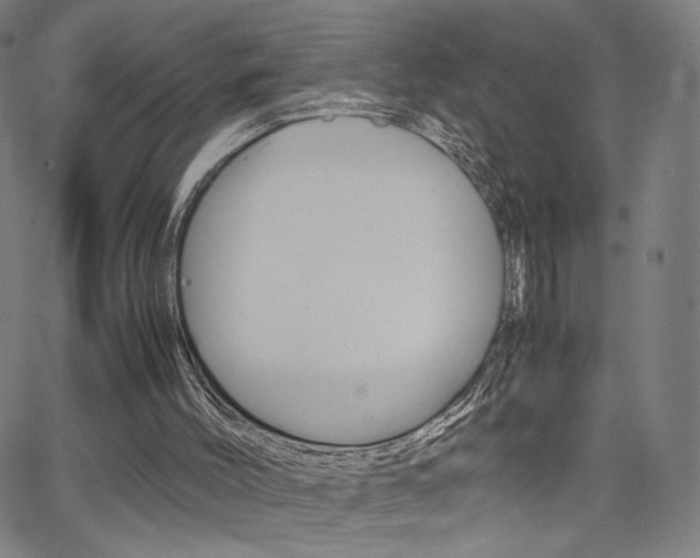 X0000063460004200601200942