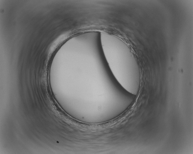 X0000063460006200601200942