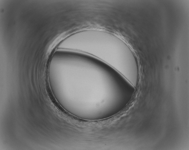 X0000063460007200601200942