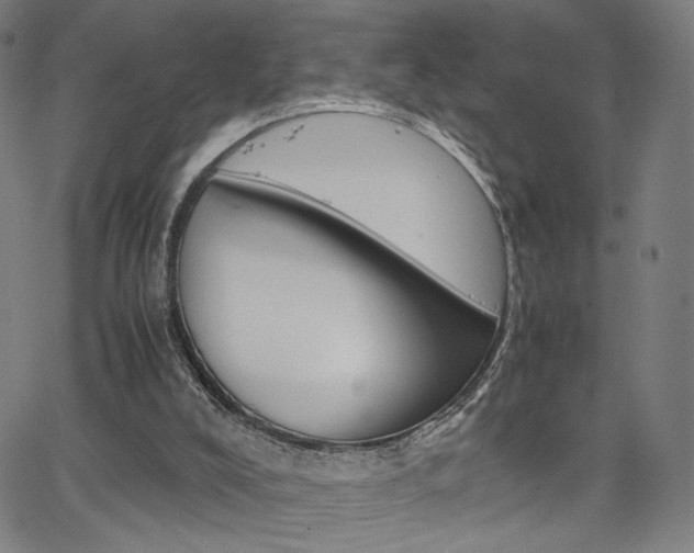 X0000063460008200601200942