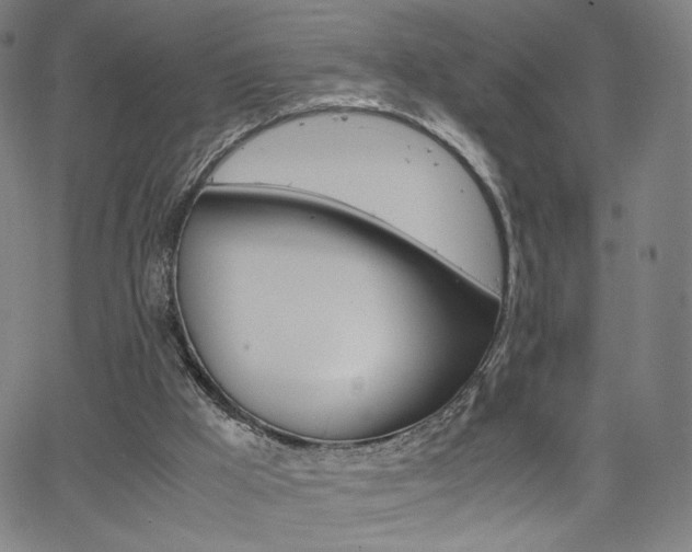 X0000063460009200601200942