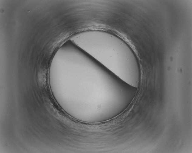 X0000063460010200601200941