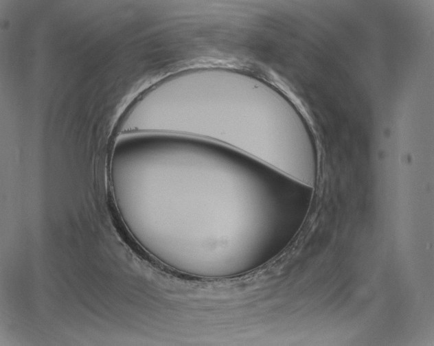 X0000063460011200601200941