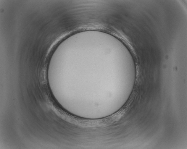 X0000063460012200601200941