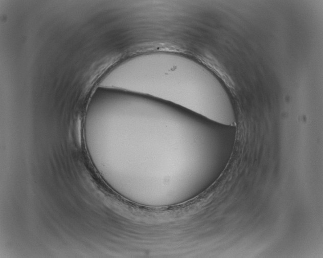 X0000063460014200601200941