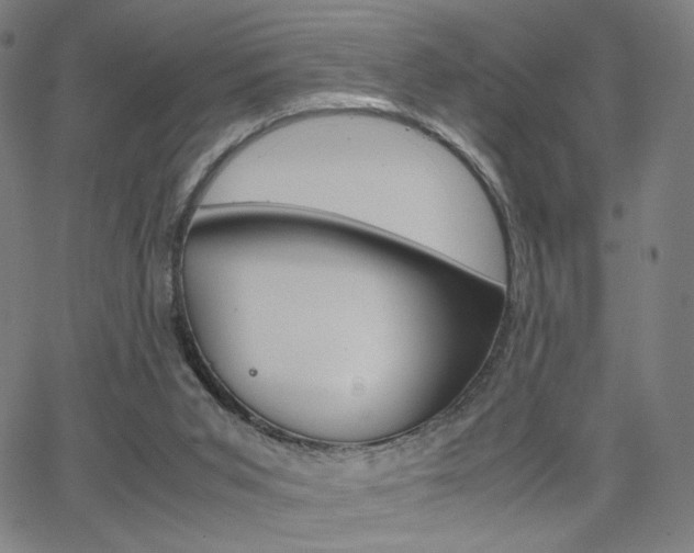 X0000063460015200601200941