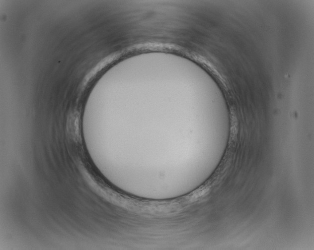 X0000063460016200601200941