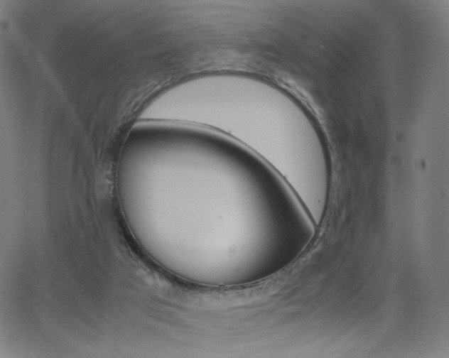 X0000063460017200601200941