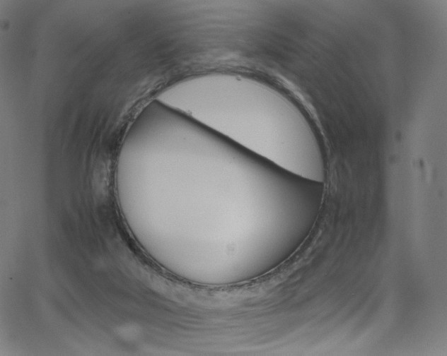 X0000063460018200601200941