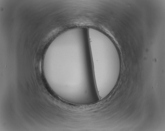 X0000063460019200601200941