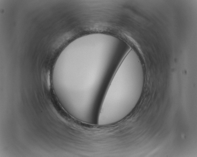 X0000063460020200601200941