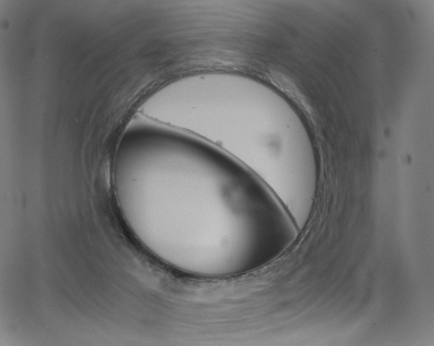 X0000063460021200601200941