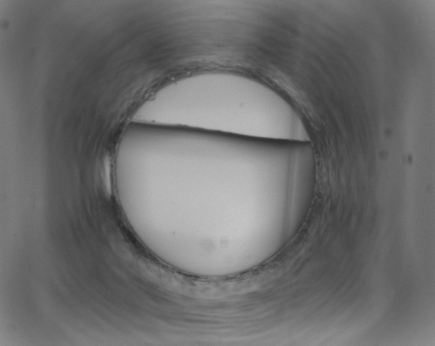 X0000063460022200601200941