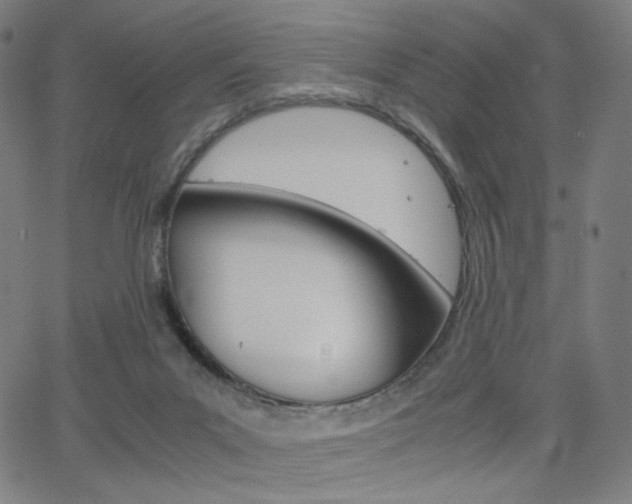 X0000063460023200601200941