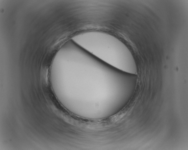 X0000063460024200601200941