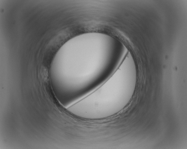 X0000063460025200601200941