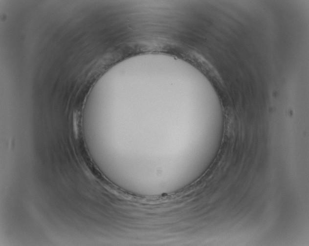 X0000063460026200601200941