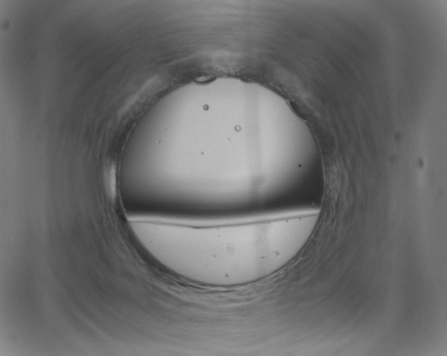 X0000063460027200601200941