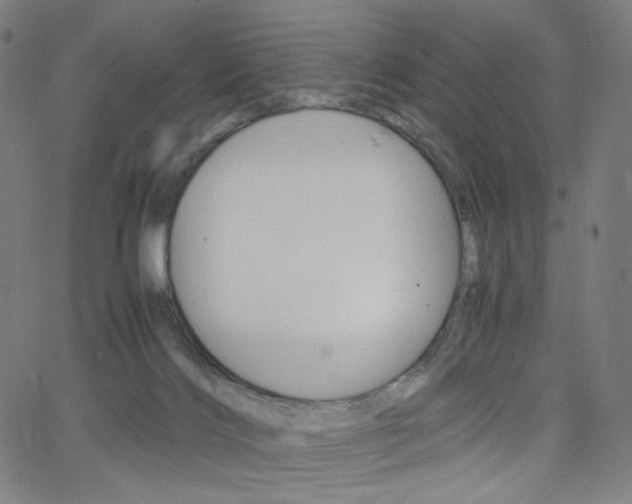 X0000063460028200601200941