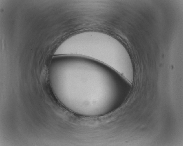 X0000063460029200601200941