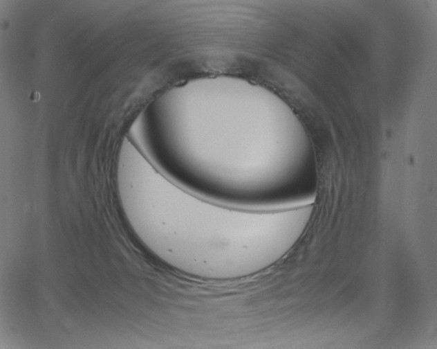 X0000063460031200601200941