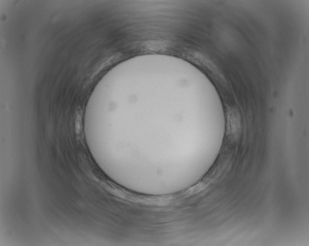 X0000063460032200601200941