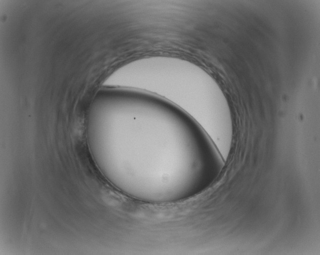 X0000063460033200601200941