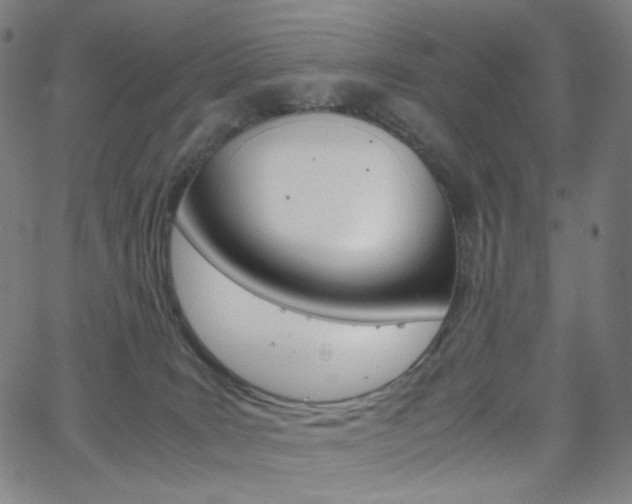 X0000063460035200601200941