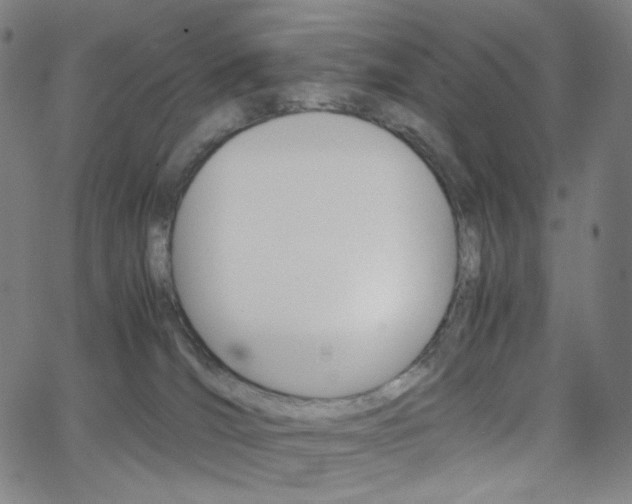 X0000063460036200601200941