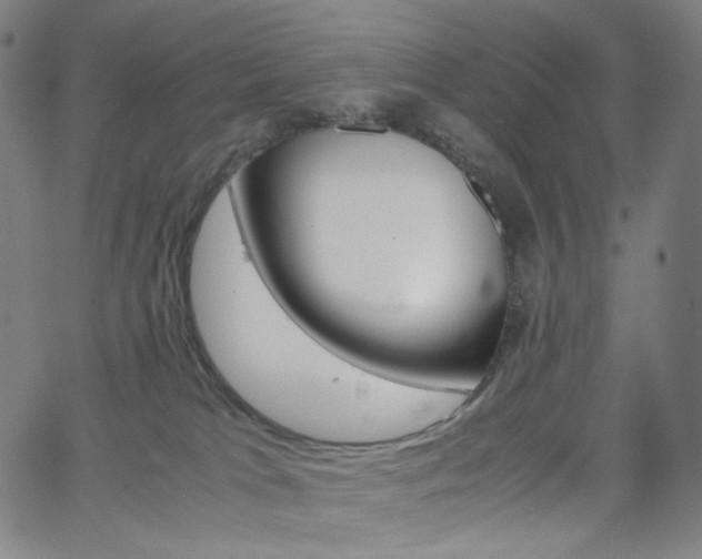 X0000063460037200601200941