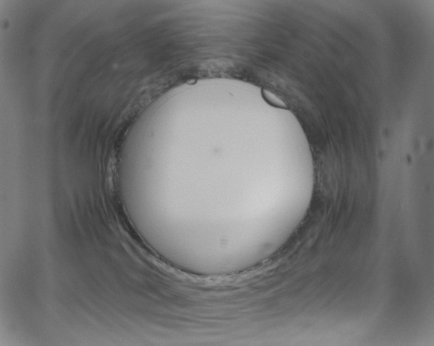 X0000063460038200601200941