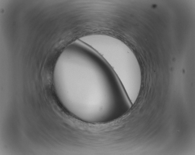 X0000063460039200601200941