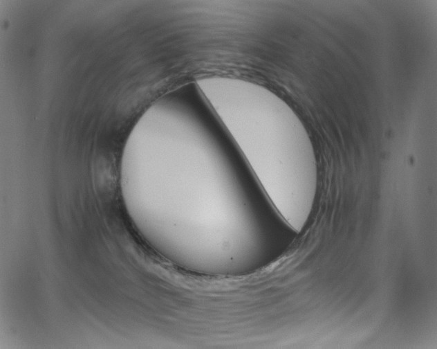 X0000063460040200601200941