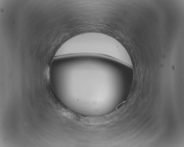 X0000063460041200601200941