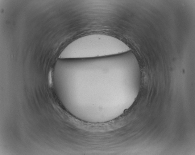 X0000063460042200601200941