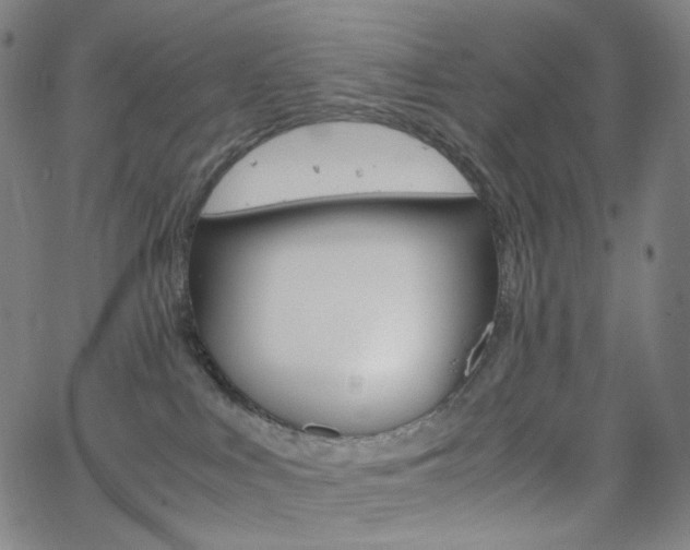 X0000063460043200601200941