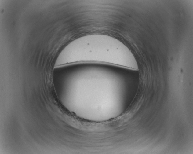 X0000063460044200601200941