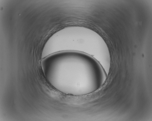 X0000063460045200601200941