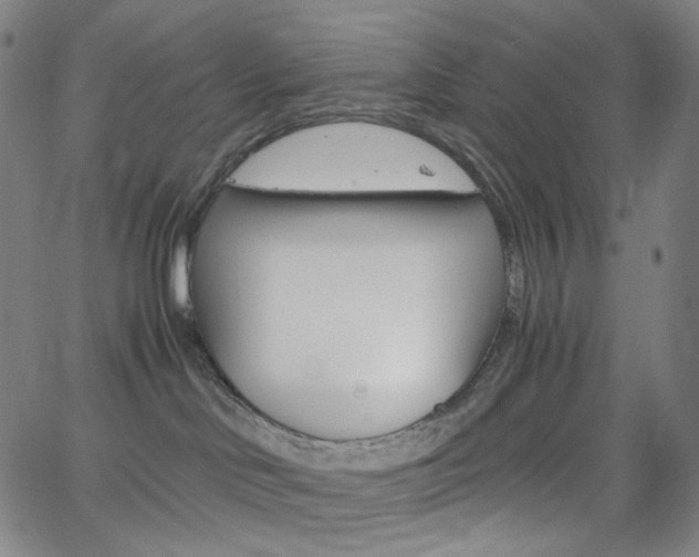 X0000063460046200601200941