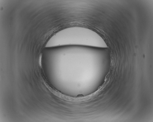 X0000063460047200601200941