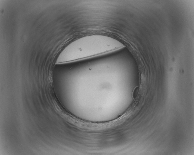 X0000063460048200601200941