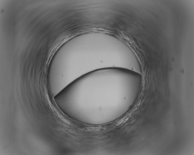 X0000063460049200601200940