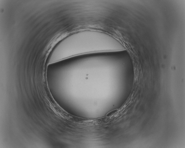 X0000063460050200601200940