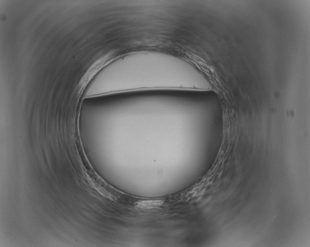 X0000063460051200601200940