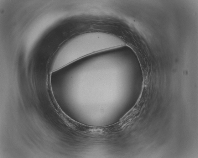 X0000063460052200601200940