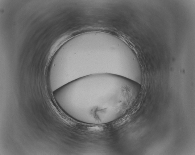 X0000063460053200601200940